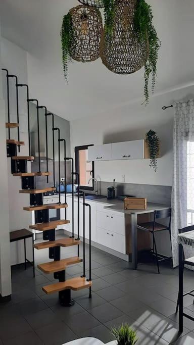 Apartamento Toulouse Charmant T3 Ponts Jumeaux Avec Terrasse Exterior foto